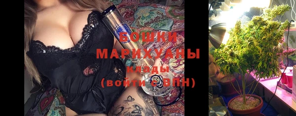 ПСИЛОЦИБИНОВЫЕ ГРИБЫ Вяземский